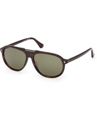 Web - We0394 56N Sunglasses Acetate Pilot Normal - Lyst