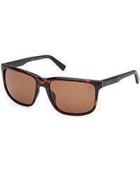 Timberland - Tb00037 52H Sunglasses Injected Squared Polarized - Lyst