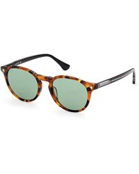 Web - We0328 56N Sunglasses Acetate Round Normal - Lyst