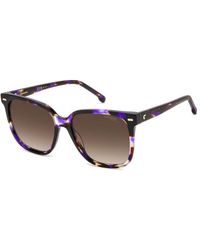 Carrera - 3002/S Hkz/Ha Sunglasses Acetate Squared Shaded - Lyst