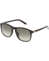 Lozza - Sl1845L Cooper 958L Sunglasses Acetate Squared Normal Shaded - Lyst