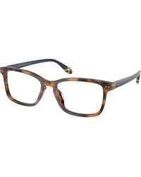 Polo Ralph Lauren - Ph2316U 6089 Optical Frames Acetate Transparent Pillow Normal - Lyst