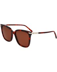 Ferragamo - Sf2037S 640 Sunglasses Acetate Butterfly Normal - Lyst