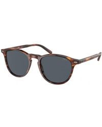Polo Ralph Lauren - Ph4181 500787 Sunglasses Acetate Pantos Normal - Lyst