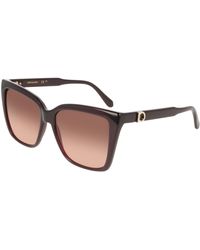 Ferragamo - Sf2085Se 665 Sunglasses Acetate Squared Normal - Lyst