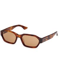 Gcds - Gd0076 54J Sunglasses Acetate Roviex Geometric Normal - Lyst