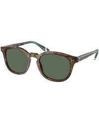 Polo Ralph Lauren - Ph4206 501771 Sunglasses Acetate Pantos Normal - Lyst