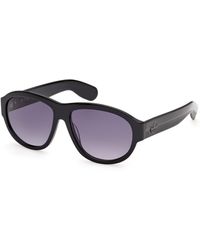 adidas Originals - Or0150 01B Sunglasses Acetate Smoke Pilot Normal - Lyst