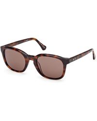 Web - We0390 52E Sunglasses Acetate Round Normal - Lyst