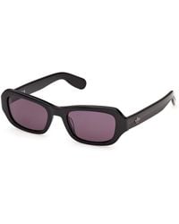 adidas Originals - Or0156 01A Sunglasses Acetate Smoke Geometric Normal - Lyst
