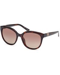 Guess - Gu7877 52H Sunglasses Injected Round Polarized - Lyst