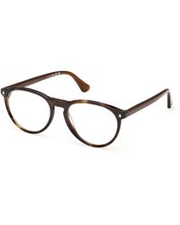 Web - We5474 056 Optical Frames Acetate Round Normal - Lyst