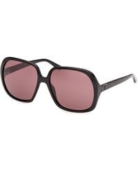 Guess - Gu00350 01S Sunglasses Injected Bordeaux Butterfly Normal - Lyst
