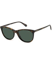 Polaroid - Pld 4161/S 086/Uc Sunglasses Polycarbonate Cat Eye Polarized - Lyst