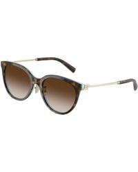 Tiffany & Co. - Tf4243D 81343B Sunglasses Acetate Round Normal Shaded - Lyst