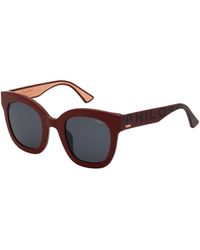 Lozza - Sl4254 Philosophy Lily 09Fc Sunglasses Acetate Round Normal - Lyst