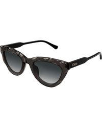 Chloé - Ch0294S 001 Sunglasses Acetate Cat Eye - Lyst
