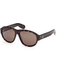 adidas Originals - Or0150 52J Sunglasses Acetate Roviex Pilot Normal - Lyst