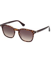 Web - We0364 56B Sunglasses Acetate Smoke Round Normal Shaded - Lyst