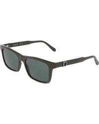 Ferragamo - Sf2060Se 324 Sunglasses Squared Normal - Lyst