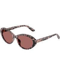 Dolce & Gabbana - Dg4570 347669 Sunglasses Acetate Round Normal - Lyst
