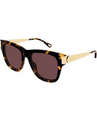 Chloé - Ch0349S 003 Sunglasses Acetate Cat Eye - Lyst