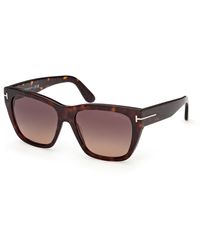 Tom Ford - Ft1343 Flynn-02 52T Sunglasses Acetate Bordeaux Butterfly Normal - Lyst