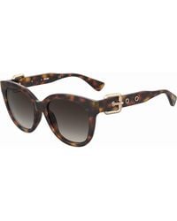 Moschino - Mos143/S 05L/Ha Sunglasses Injected Butterfly Normal Shaded - Lyst