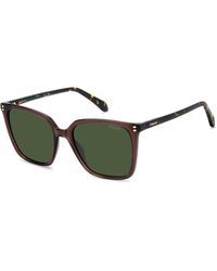 Polaroid - Pld 4201/S/X 09Q/Uc Sunglasses Acetate Squared Polarized - Lyst
