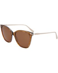 Longchamp - Lo757S 211 Sunglasses Acetate Squared Normal Normal - Lyst