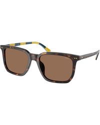 Polo Ralph Lauren - Ph4224U 500373 Sunglasses Acetate Squared Normal - Lyst