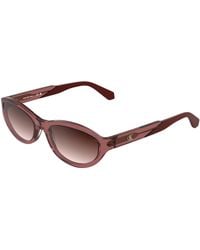 Calvin Klein - Ckj25618S 600 Sunglasses Acetate Cat Eye Normal - Lyst