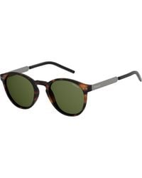 Polaroid - Pld 1029/S N9P/Uc Sunglasses Plastic Round Polarized - Lyst
