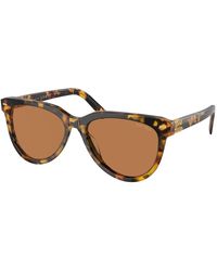 Miu Miu - Mu 12Zs Vau01T Sunglasses Acetate Pantos Normal - Lyst