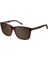 Pierre Cardin - P.C. 6171/S Did/Ej Outlet Sunglasses Plastic Squared Normal - Lyst