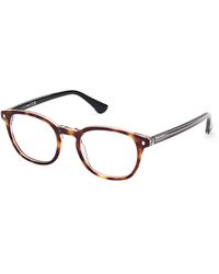 Web - We5441 056 Optical Frames Acetate Round Normal - Lyst