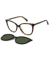 Polaroid - Pld D605/C 086/Uc Optical Frames Acetate Butterfly Polarized - Lyst