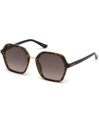 Guess - Gu7557 52F Sunglasses Injected Geometric Normal Shaded - Lyst
