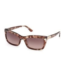 Guess - Gm00044 50F Sunglasses Acetate Squared Normal - Lyst