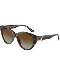Jimmy Choo - Jc5007 5002T5 Sunglasses Acetate Pantos Polarized Shaded - Lyst