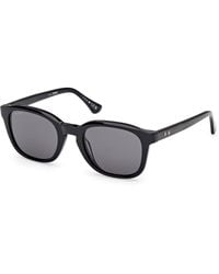 Web - We0390 01A Sunglasses Acetate Smoke Round Normal - Lyst