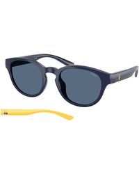Polo Ralph Lauren - Ph4233U 562080 Sunglasses Injected Pantos Normal - Lyst