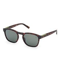 Timberland - Tb00007 56R Sunglasses Injected Round Polarized - Lyst