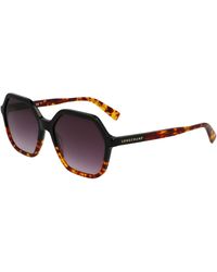 Longchamp - Lo760S 011 Sunglasses Acetate Squared Normal - Lyst