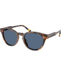 Polo Ralph Lauren - Ph4241U 608980 Sunglasses Acetate Round Normal - Lyst