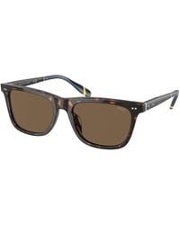 Polo Ralph Lauren - Ph4205U 500373 Sunglasses Acetate Squared Normal - Lyst