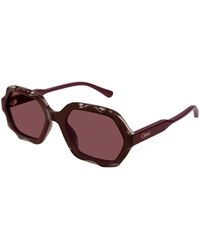 Chloé - Ch0227S 002 Sunglasses Acetate Squared - Lyst