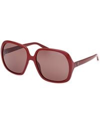 Guess - Gu00350 69S Sunglasses Injected Butterfly Normal - Lyst