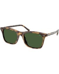 Ralph Lauren - Rl8242U 633971 Sunglasses Acetate Pantos Normal - Lyst