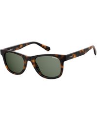 Polaroid - Pld 1016/S/New 086/Uc Sunglasses Plastic Squared - Lyst